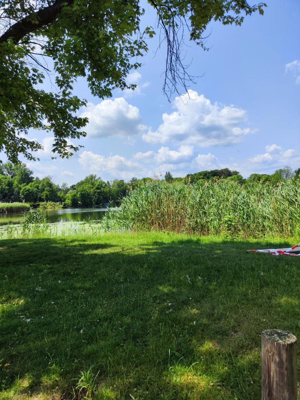 Ferienwohnung Mit Ausblick In Wimmelburg Zewnętrze zdjęcie