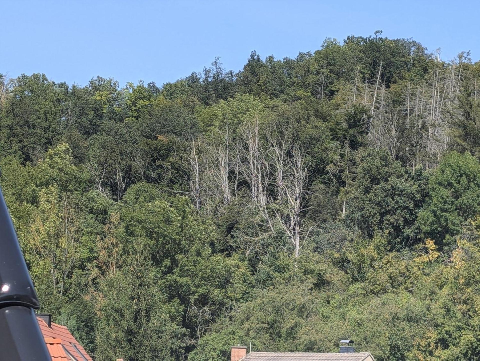 Ferienwohnung Mit Ausblick In Wimmelburg Zewnętrze zdjęcie